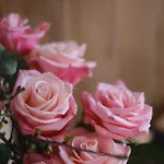 Parkhotel - Rosarium