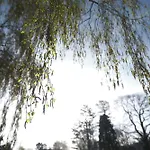 Parkhotel - Rosarium 4* Uetersen