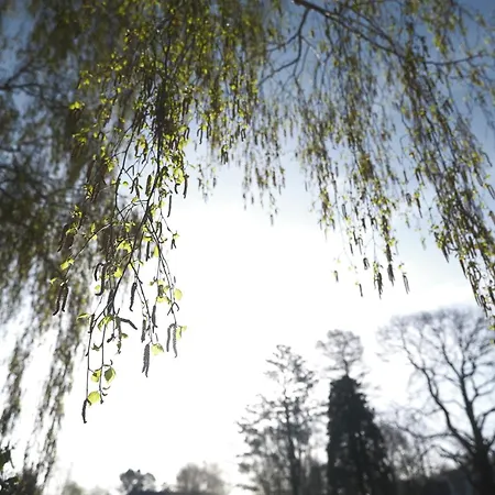 Parkhotel - Rosarium 4* Uetersen