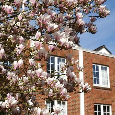 Hotel Parkhotel - Rosarium 4*