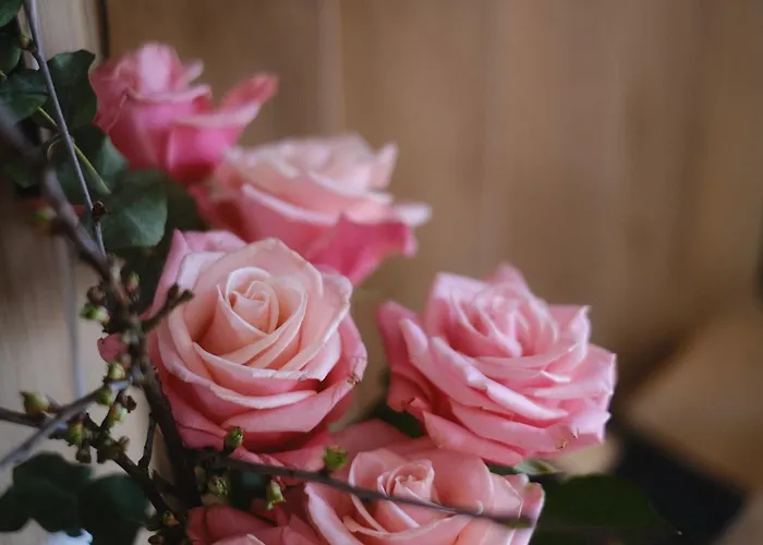 Parkhotel - Rosarium