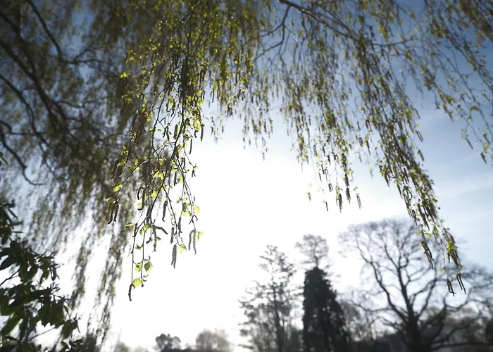 Parkhotel - Rosarium 4* Uetersen